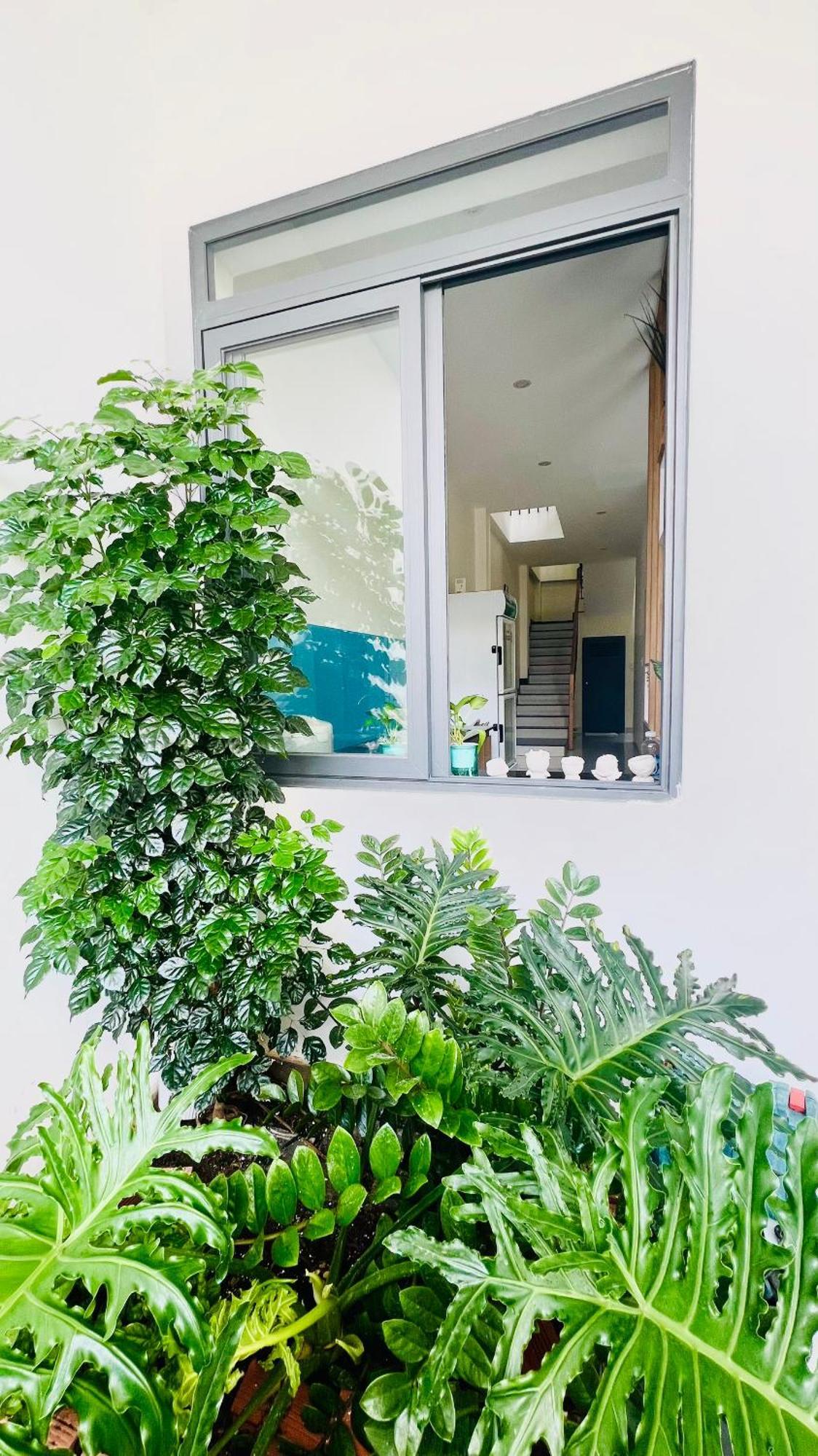 Phi Homestay 3 Room Near Sea, Center - 1988 Homestay หวุงเต่า ภายนอก รูปภาพ